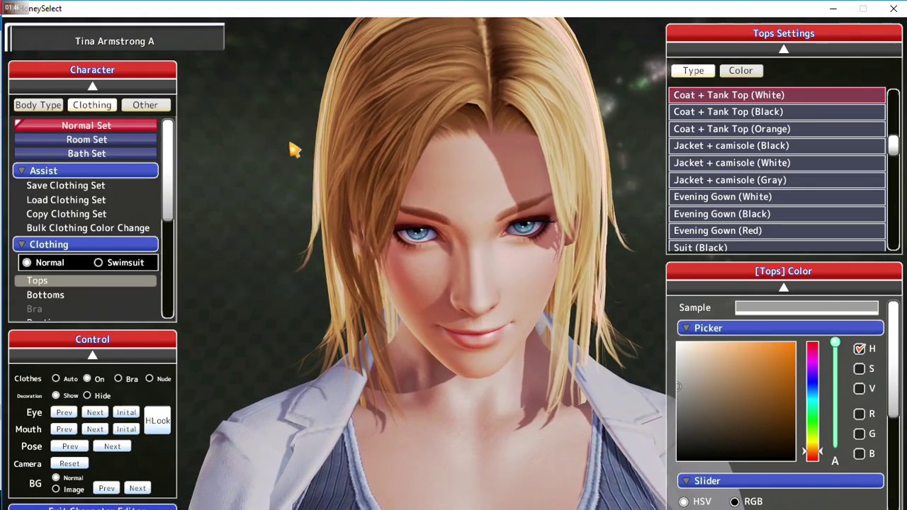download character honey select